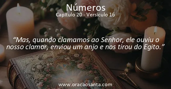 Números 20:16