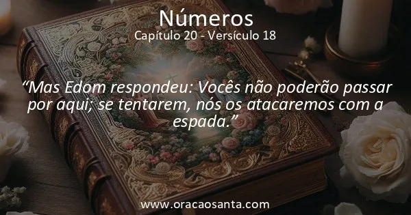 Números 20:18