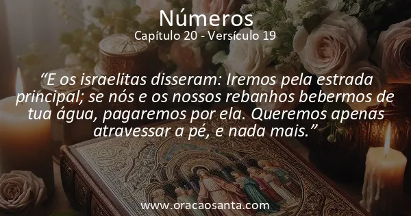 Números 20:19