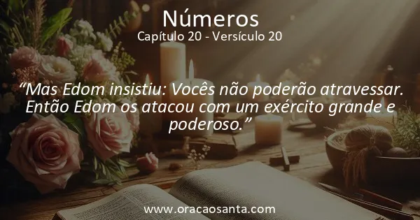 Números 20:20