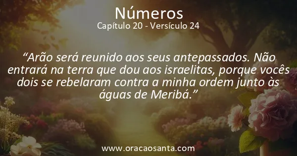 Números 20:24