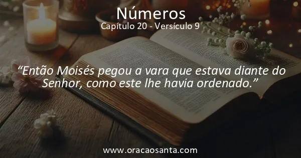 Números 20:9