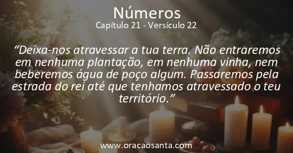 Números 21:22