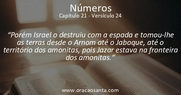 Números 21:24