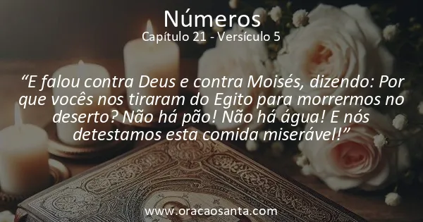 Números 21:5