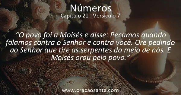 Números 21:7