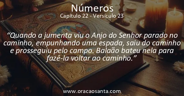 Números 22:23