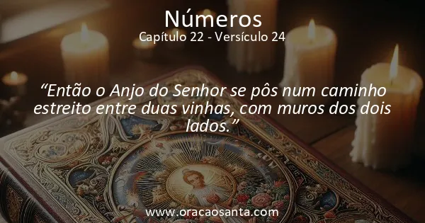 Números 22:24