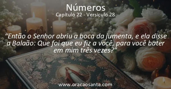 Números 22:28