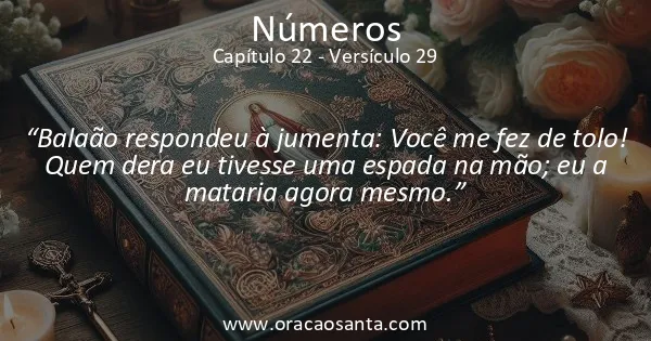 Números 22:29
