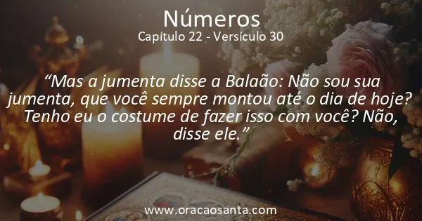 Números 22:30