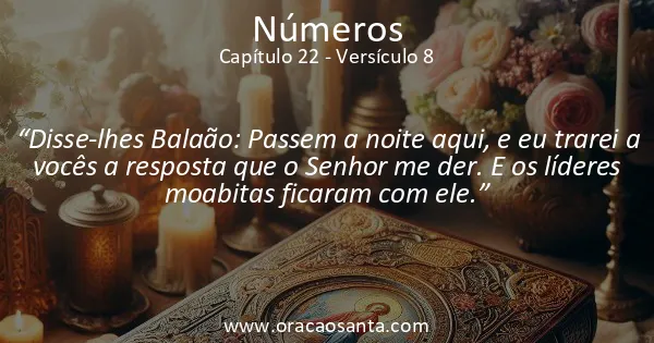 Números 22:8