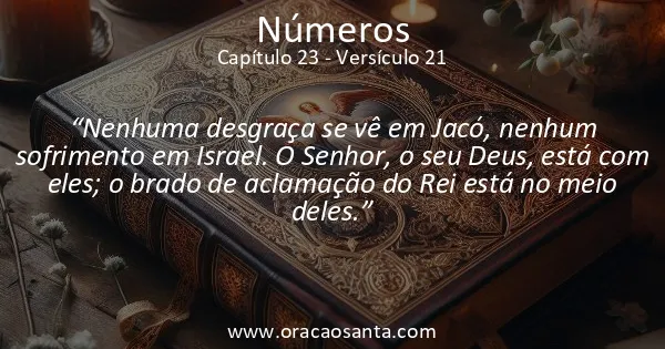 Números 23:21