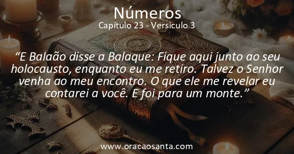 Números 23:3