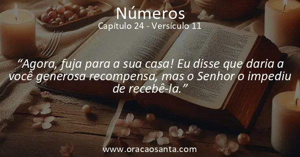 Números 24:11