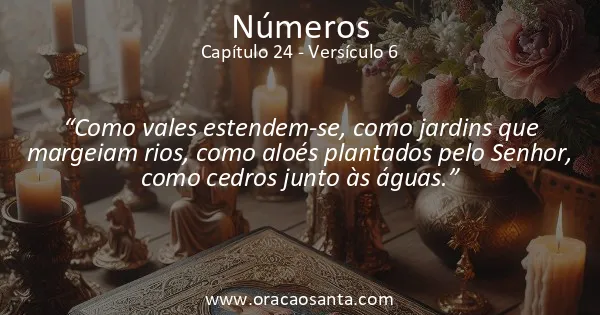 Números 24:6