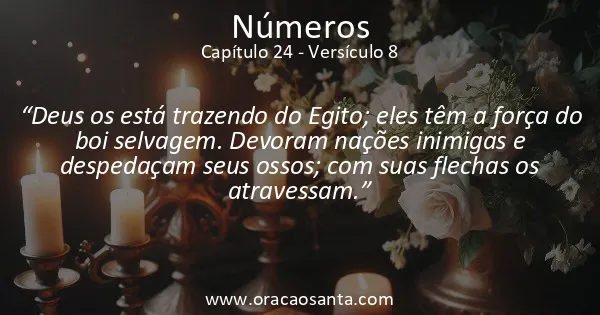 Números 24:8