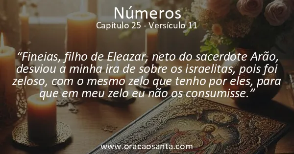 Números 25:11