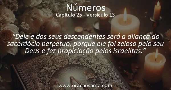 Números 25:13