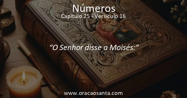 Números 25:16