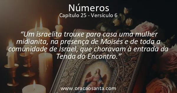 Números 25:6