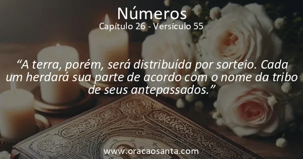 Números 26:55