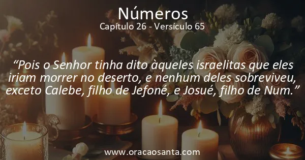 Números 26:65
