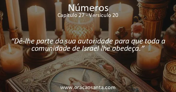 Números 27:20