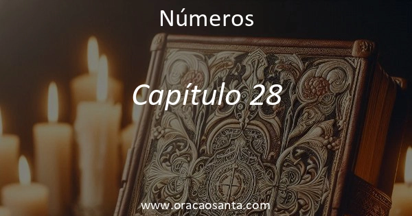 Números 28