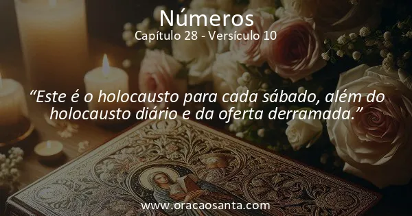 Números 28:10