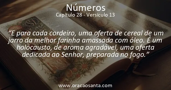 Números 28:13