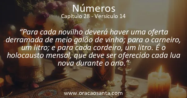 Números 28:14
