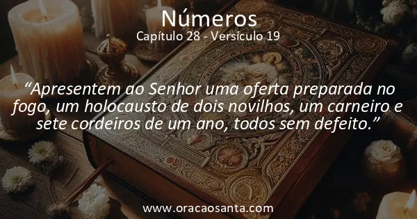 Números 28:19