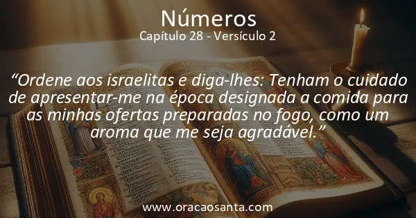 Números 28:2