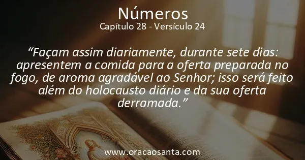 Números 28:24