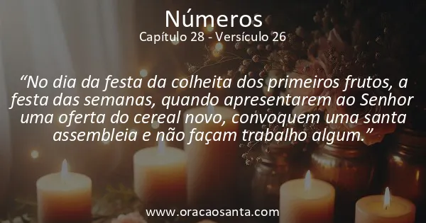 Números 28:26
