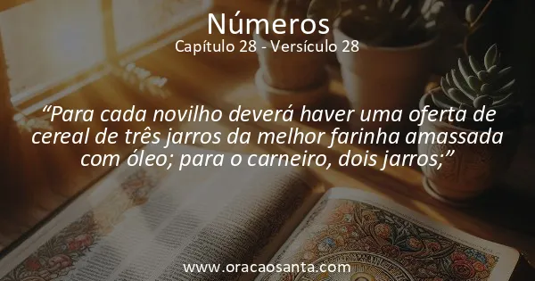 Números 28:28