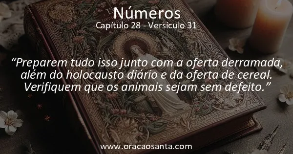 Números 28:31