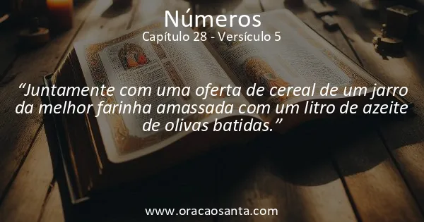 Números 28:5