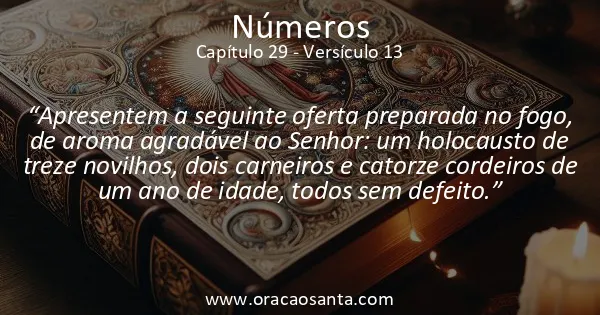 Números 29:13