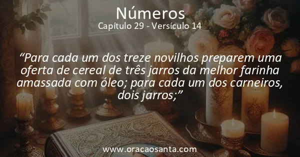 Números 29:14