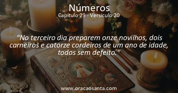 Números 29:20