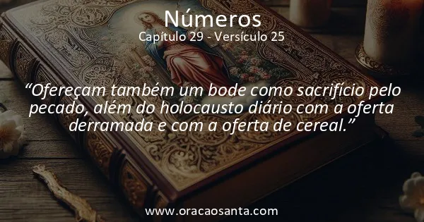 Números 29:25