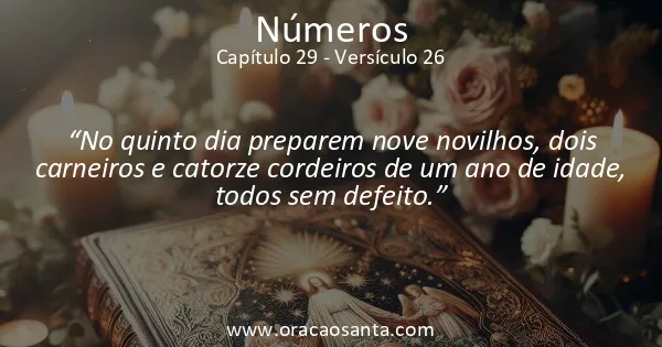 Números 29:26