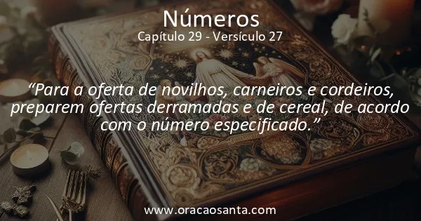 Números 29:27