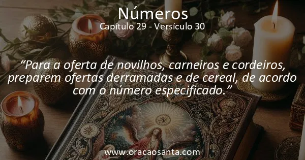 Números 29:30