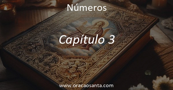 Números 3