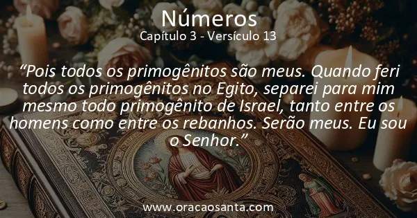 Números 3:13