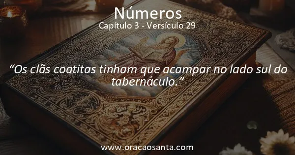 Números 3:29