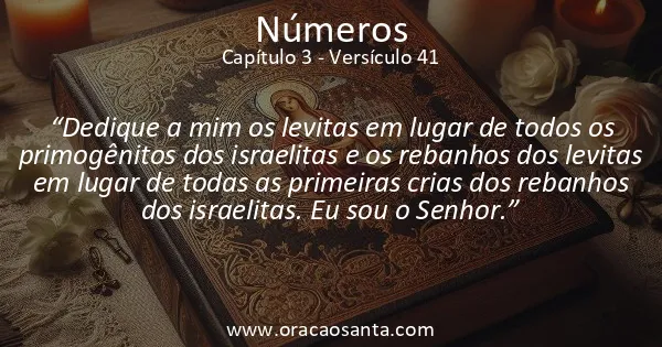 Números 3:41